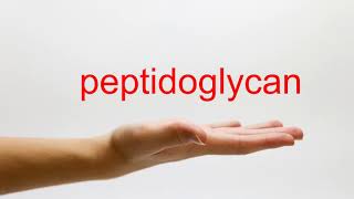 How to Pronounce peptidoglycan  American English [upl. by Ofloda]