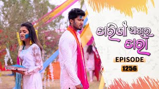 Tarini Akhira Tara  Full Ep 1256  31st Mar 2022  Odia Serial – TarangTV [upl. by Rorke]