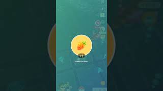 Pokémon Go  Rewards for 3 First Places on showcases pokemongo pokemonshowcase [upl. by Helse744]