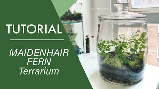 HOW TO MAKE A MINIMALIST FERN TERRARIUM IN LESS THAN 10 MINUTES [upl. by Neleb]