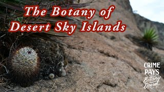 The Botany of Desert Sky Islands Starring Mammillaria andersoniana [upl. by Mosnar]