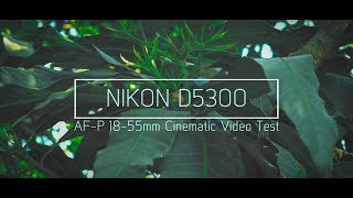 Nikon D5300 AFP 1855mm Cinematic Video Test 4K TH [upl. by Ayokahs]