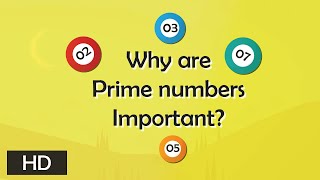 Why are prime numbers important  Tell me why [upl. by Philemon]