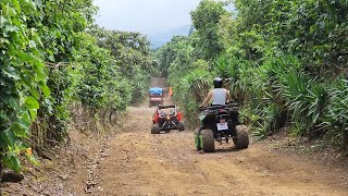 Recorridos en cuatrimotos por cafetales en Juayua [upl. by Ennovyhc]