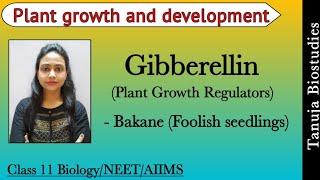 Plant Growth Regulators  Gibberellins Bakane Foolish seedlings Disease  11th BiologyNEETAIIMS [upl. by Dranik]