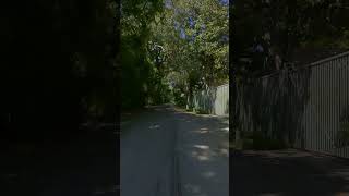 Bamboo Road Lakewood Neighborhood New Orleans [upl. by Ahola]