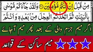 Meem Sakin Ke Qawaid  Ikhfaa Shafwi  Idgham Shafwi  Izhar Shafwi  By Hafiz Muzzammil [upl. by Avihs932]