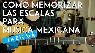 Como SACAR y MEMORIZAR LAS ESCALAS rapidamente  Tutorial Guitarra  LA ESCALA [upl. by Inhsor]