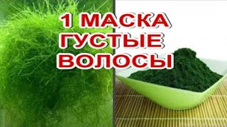 1 МАСКА Густые волосы От Выпадения и для Густоты волос Спирулина [upl. by Ttegirb775]