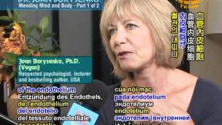 Dr Joan Borysenko Mending Mind and Body 12 [upl. by Osrit]