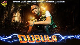 Dubula Nyusa Nyusa HarryCane x Master KG amp DJ Latimmy FeatEemoh [upl. by Vaenfila]