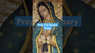 Hail Mary Rosary Today [upl. by Condon]