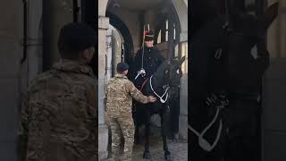 HORSE BITES SOLDIER kingsguard [upl. by Folger76]