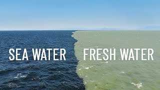 Fresh Water Meets Sea Water – Boundary Explained [upl. by Sassan]