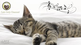 10 Hours of Relaxing Music for Cats  Harp Music to Calm Cats [upl. by Nylirej]