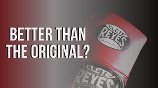 CLETO REYES Extra Padding Training Gloves REVIEW [upl. by Ursula]