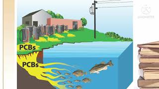 PCB POLYCHLORINATED BIPHENYLS [upl. by Cnut]