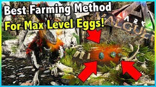 HOW TO FARM UNLIMITED MAX LEVEL DEINONYCHUS EGGS IN ARK VALGUERO  ARK VALGUERO [upl. by Fitzsimmons]