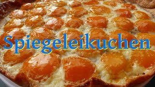 SPIEGELEIKUCHEN  Mürbeteig Rezept  Aprikosen Tarte  Grundrezept Tarteteig [upl. by Duer]