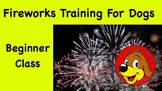 Dog Training For Firework 💖 Desensitisation To Help Dogs Cope With Loud Bangs [upl. by Chak]