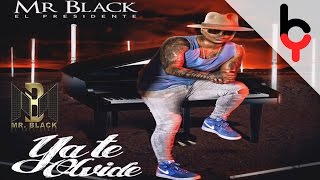 Mr Black  La Falla  Audio [upl. by Godred701]