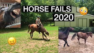 HORSE FAILS AND FALL 2020 [upl. by Anelad]