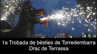 1a Trobada de bèsties de Torredembarra  Drac de Terrassa [upl. by Corena]