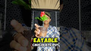 Eatable flower pot dessert😲  home made  food minivlog shorts flowerpot [upl. by Oliana374]