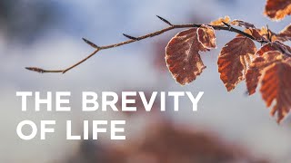 The Brevity of Life — 10142023 [upl. by Bruis]