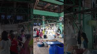 Carbon market wet area  Cebu city Philippines music sound sync recommended audio [upl. by Phelan217]