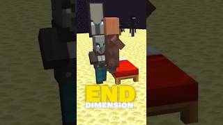 Pillager Raid In END Dimension Of Minecraft [upl. by Ecirehc]