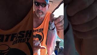 Trolling trout on Berryessa lakeberryessa troutfishing trout fishing trolling lakefishing [upl. by Burkitt36]