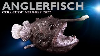 Collecta ® Tiefsee Anglerfisch  Neuheit 2022 New  Deep Sea Angler fish  Review Deutsch  German [upl. by Ecertap926]