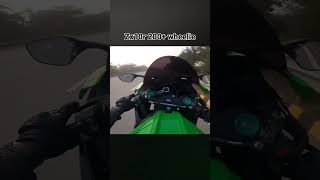 H2R Road Top Speed Accident 😱 shorts like h2r speed accident [upl. by Audie389]