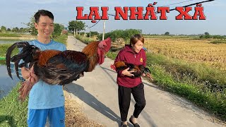 Gà 65kg sắp thành Tinh làm 2 món Xào sả ớtNộm chua cay để Phá giàn hoa giấy [upl. by Adlesirg466]