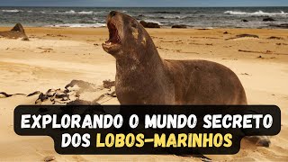 LOBOMARINHO  12 CURIOSIDADES INTERESSANTES SOBRE O LOBO MARINHO QUE VOCÊ PRECISA SABER [upl. by Marsden426]