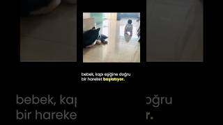 Bebek ve Köpek köpekler köpekadam çağrıaracı köpek bebekveköpek köpekbakımı köpekbedendili [upl. by Zat87]