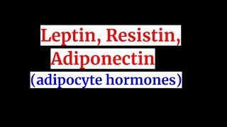 Leptin Adiponectin resistinadipocyte hormones [upl. by Ahsennek171]