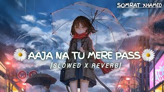 Aaja Na Tu Mere Paas Dunga Itna Pyar MeinSlowed X ReverbMind Relax Mashup – Arijit Singhhindilofi [upl. by Orlina943]