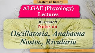 Lecture 9  Oscillatoria Anabaena Nostoc amp Rivularia Life Cycle Cyanophyceae  Algae [upl. by Mariann]