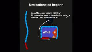 Heparin preparations and fondaparinux Mechanism of action [upl. by Silrak]