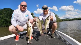 Coosa River Spotted Bass Lay Lake Bass Fishing [upl. by Lyford634]