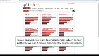 Enrichment analysis with Enrichr [upl. by Chap867]