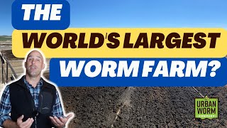 The Worlds Largest Worm Farm Youve Never Heard Of [upl. by Deden]