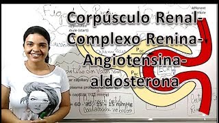 corpusculo Renal  filtração  complexo renina angiotensina aldosterona [upl. by Annia396]