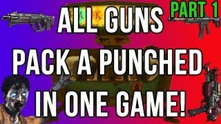 BO2 Zombies  All Guns Pack A Punched in One Game Part 1 [upl. by Dhiren]