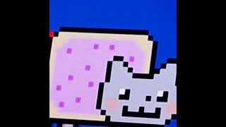 nyan cat for 100 hours [upl. by Akieluz]