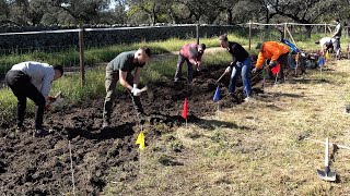 PLANTING 28000 saplings has started TELEVISION CREW is here too [upl. by Goldarina]