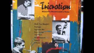 Bjarne Rostvold Trio  Tricrotism [upl. by Neelehtak]