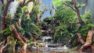 Put a real forest on your desk Creating a healing terrarium with small waterfalls and streams [upl. by Eimrots62]